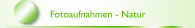 Fotoaufnahmen - Natur