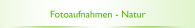 Fotoaufnahmen - Natur