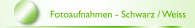 Fotoaufnahmen - Schwarz / Weiss